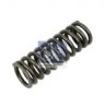 SCANI 1307117 Valve Spring